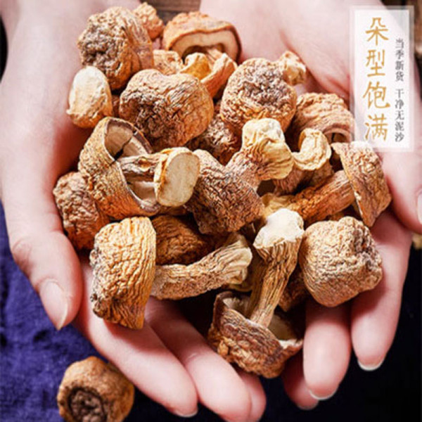 （原森堂）神农架姬松茸家庭装300克  神农架原始森林生长，无污染，无添加，绿色健康