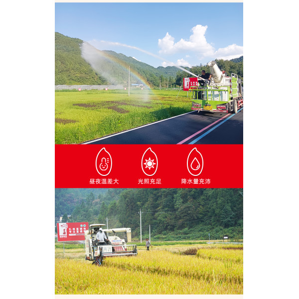 （自营2）陇间柒月 六月富硒大米2.5kg