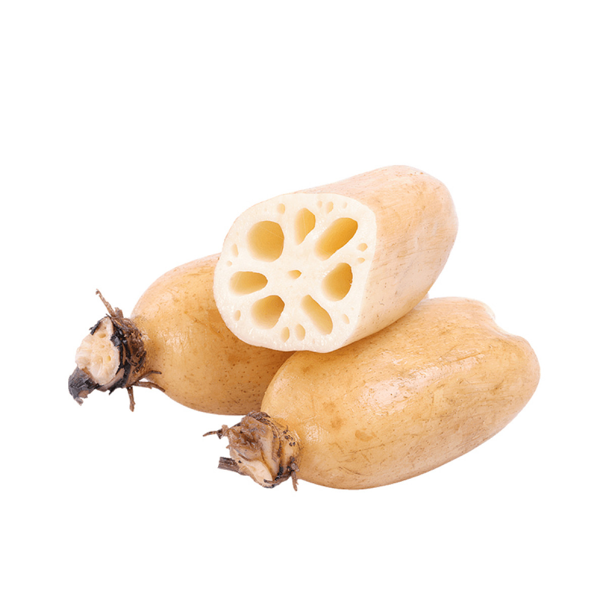 （世星阳光）民间造物 洪湖莲藕 湖北洪湖 地理标志产品 3斤