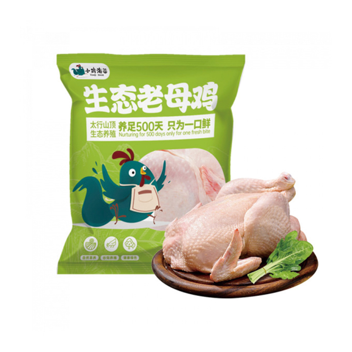 （巨邦佑）R+小鸡海蒂生态老母鸡1.15kg*1只太行山散养老母鸡500天生态走地鸡送礼佳品 冷冻发货月子鸡汤