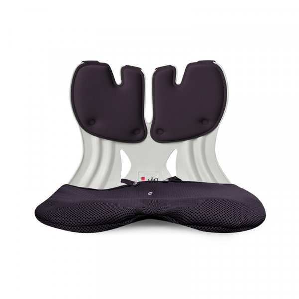 （康恩）BKT人体工学护腰坐姿椅（加大版黑色带坐套）