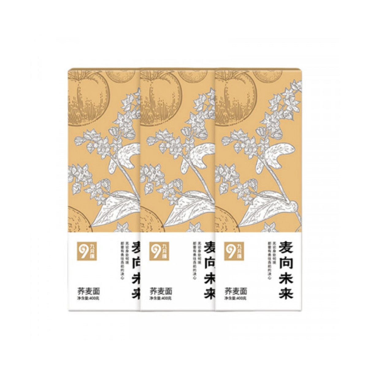 （世星阳光）九月穰 麦向未来·荞麦面400g*3  劲道爽口 细面条