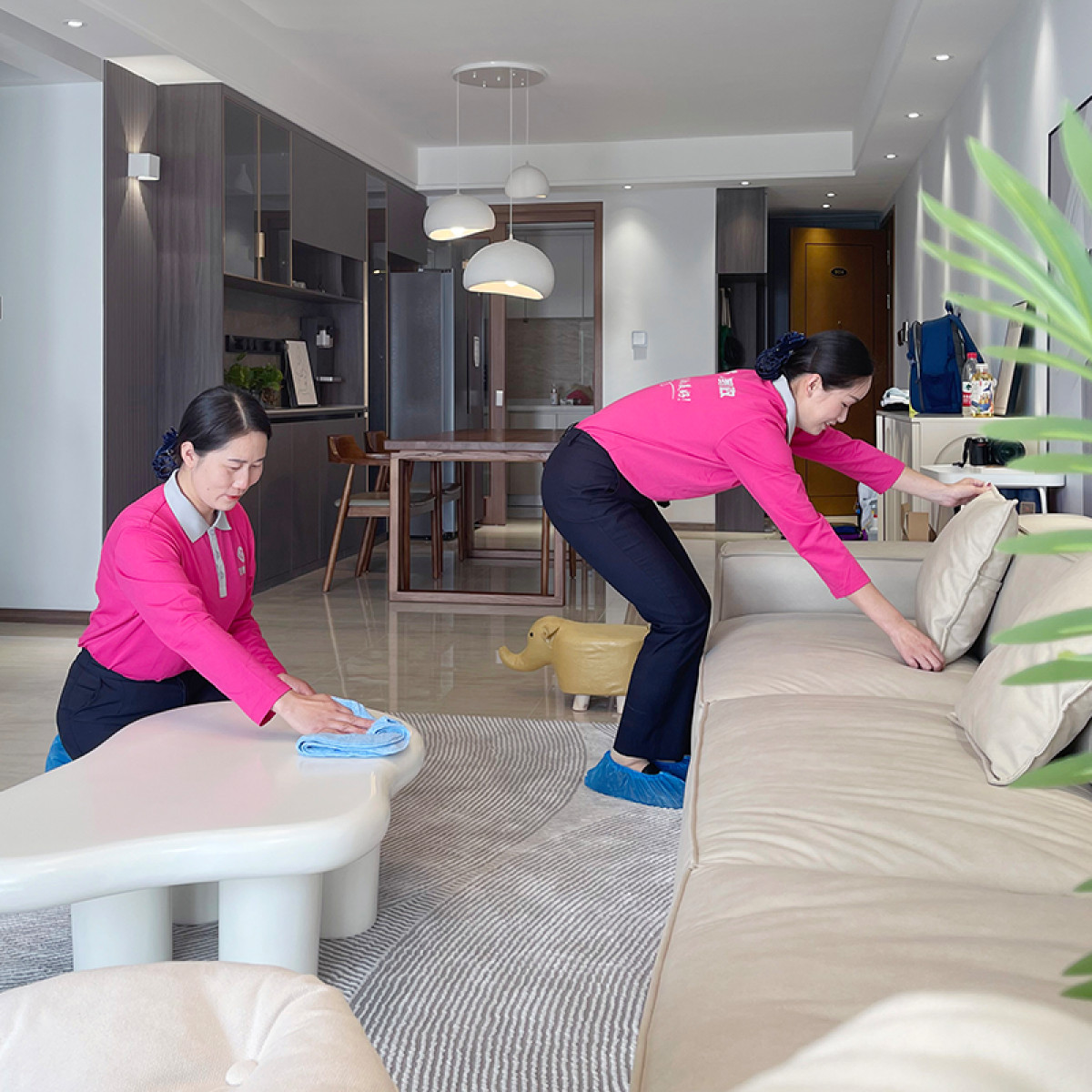 （友缘）临时钟点工保洁服务，（45积分为1个人1小时价格，3小时起订，需多少小时拍多少件）新年将至，年前订单已排满，如有不便敬请谅解！