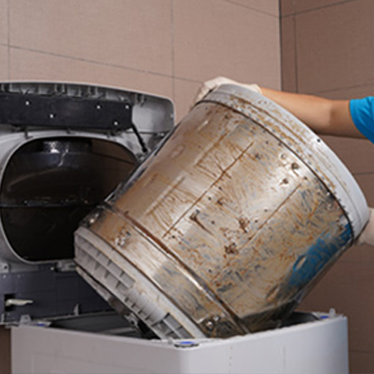 （友缘）波轮洗衣机清洗服务