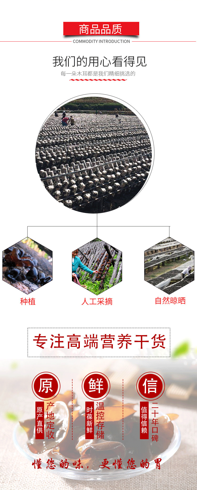 黑木耳详情页单片_04.png