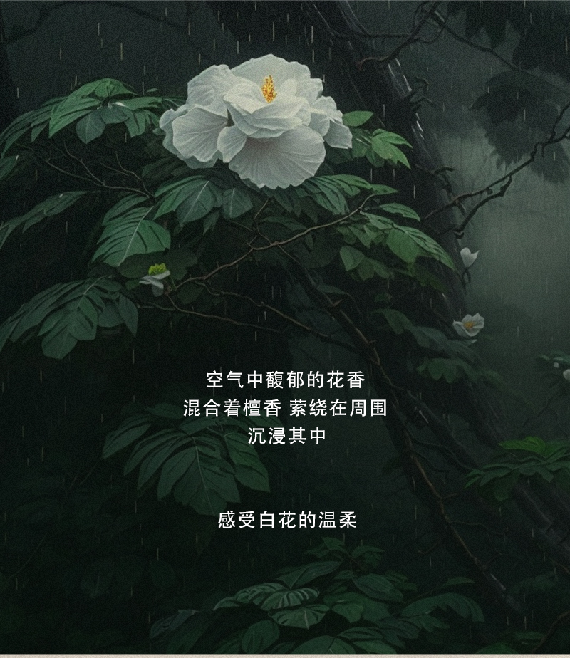 详情-护手霜_04.jpg