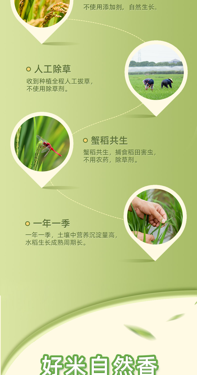 五常大米5kg_01 (6).jpg