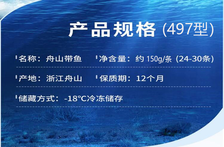 A 12-15条 497型.jpg