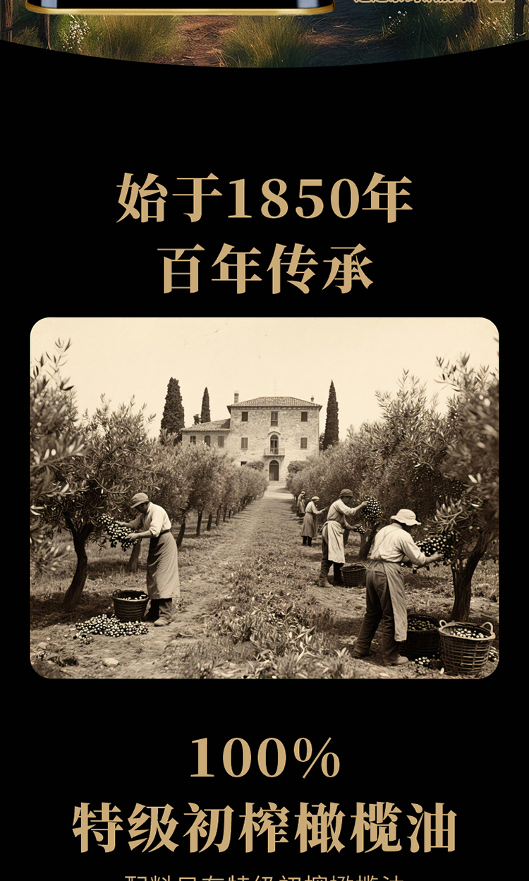 百谷纳特级初榨橄榄油3L_03.jpg
